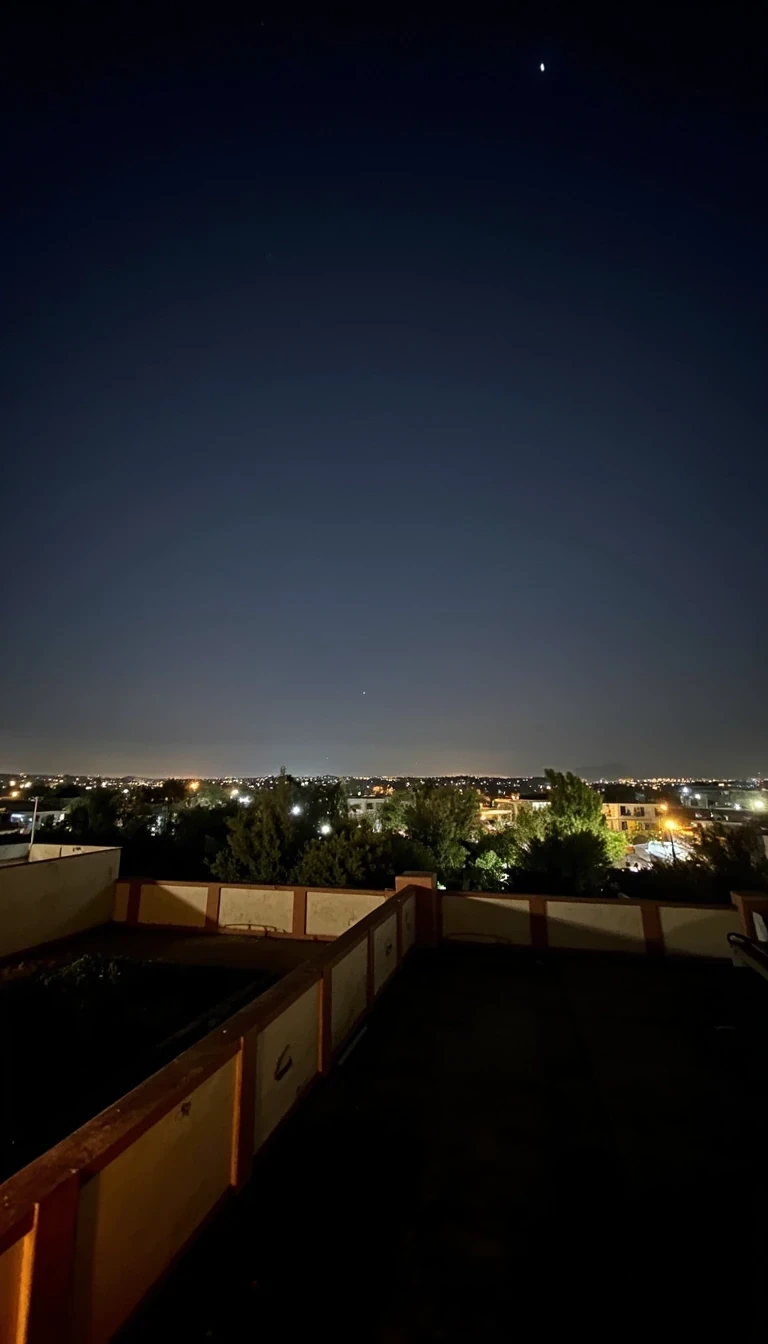 Nighttime rooftop scenery 